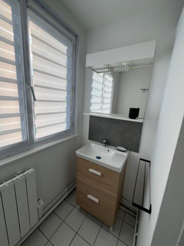 une salle de bain avec un lavabo et un miroir dans l'établissement Appartements centre ville - proche Nausicaa, plage et port, à Boulogne-sur-Mer