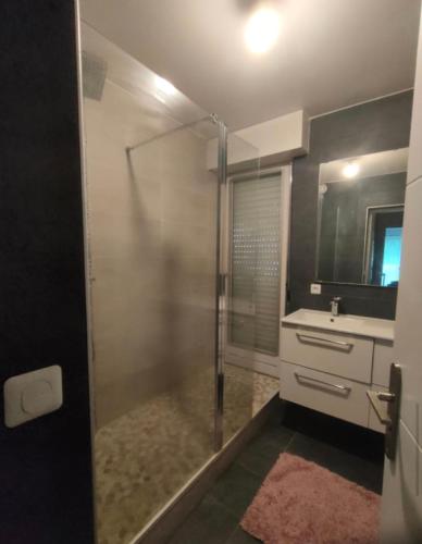une salle de bain avec une douche, un lavabo et un miroir dans l'établissement Bord de Marne 20mn Paris centre et 20mn Eurodisney, à Nogent-sur-Marne