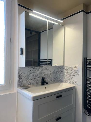 une salle de bain blanche avec un lavabo et un miroir dans l'établissement Appartement Douillet Central - Parking Inclus, à Manosque