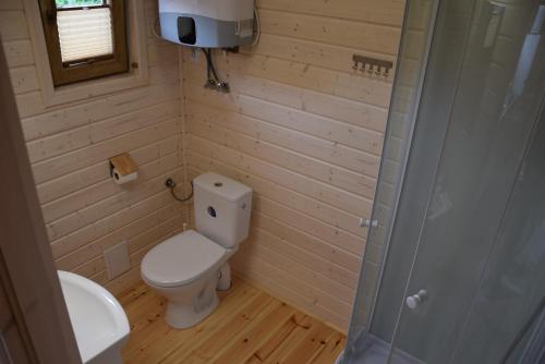 a small bathroom with a toilet and a shower at Domki pod lasem Sobieszewo in Gdańsk