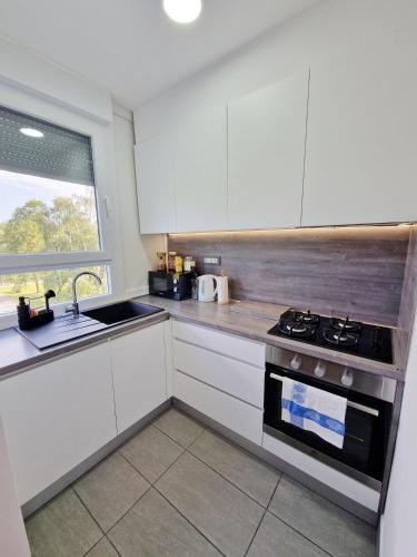 Η κουζίνα ή μικρή κουζίνα στο STUDIO APARTMAN DUBRAVA ZAGREB
