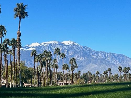 a group of palm trees with a mountain in the background at Relax in Palm Valley Comfort in Palm Desert