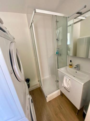 une salle de bain avec douche et lavabo dans l'établissement Logement entier - Vieux Tours - Centre, à Tours