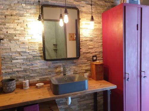 une salle de bain avec un lavabo et un miroir dans l'établissement Gîte dans Mas provençal ,havre de paix, au Beausset