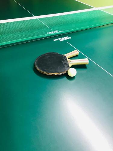 Biliár nebo kulečník v ubytování Domki u Jacka sauna bilard tenis air hockey piłkarzyki bawialnia plac zabaw