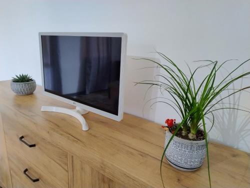 TV a/nebo společenská místnost v ubytování Casa vacanze LAGHI E MONTI