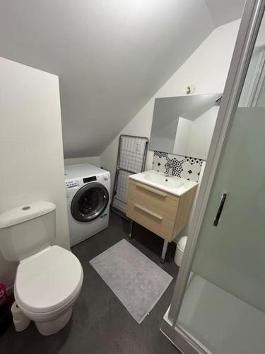 une salle de bain avec toilettes et lavabo et une machine à laver dans l'établissement Natur 'Appart entre forêt et rivière, à LʼHuisserie