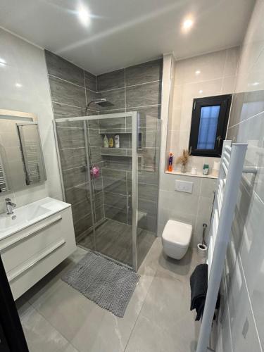 a bathroom with a shower and a toilet and a sink at Villa kaiser in Avignon