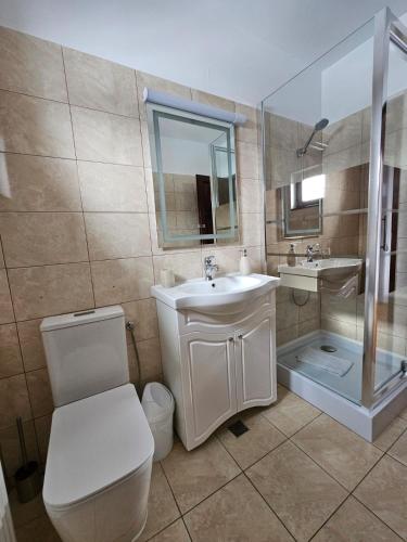 a bathroom with a toilet and a sink and a shower at Pensiunea Marceluca in Hodoşa