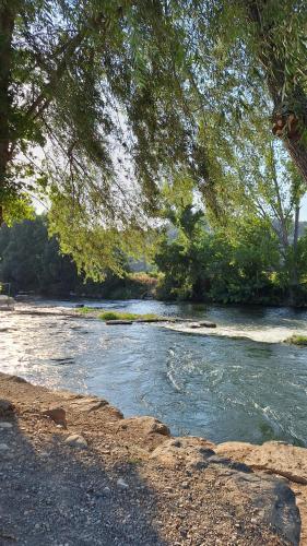 a river with some rocks and trees and water at Ca la Paca in Ponts