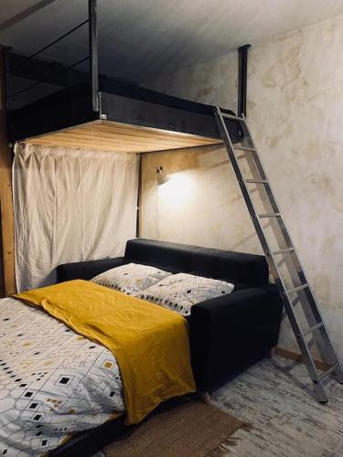 une chambre avec un lit superposé avec une échelle dans l'établissement Studio cosy au pied des pistes, à Villard-de-Lans