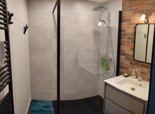 une salle de bain avec douche et lavabo dans l'établissement Entre lac et montagnes, à Thonon-les-Bains