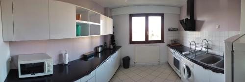 une cuisine blanche avec un évier et un micro-ondes dans l'établissement Entre lac et montagnes, à Thonon-les-Bains