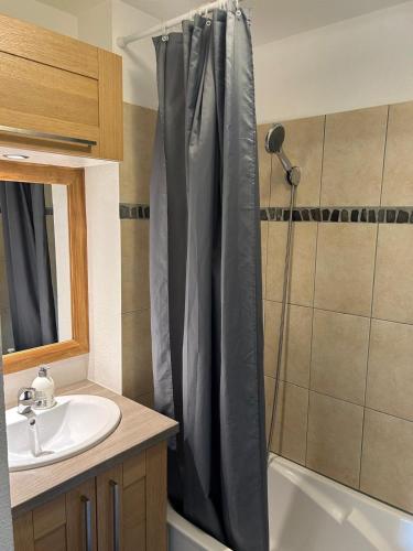 une salle de bain avec un lavabo et un rideau de douche dans l'établissement Appartement t2 piscine Parkin privée, à Colomiers
