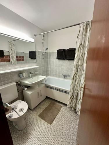 a bathroom with a toilet and a sink and a tub at Schwarzwald Studio in Freudenstadt