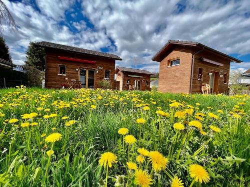 a field of yellow flowers in front of a house at Fiechtehüsli (tiny house) in Huttwil