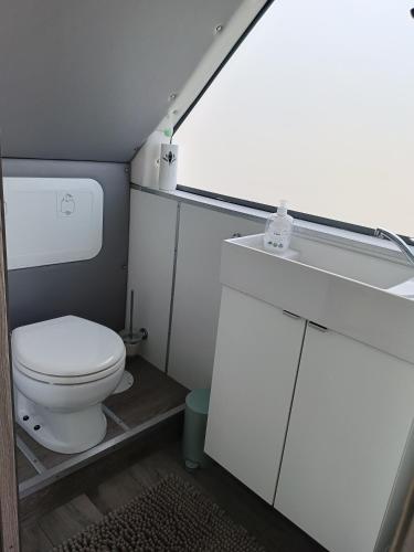 a small bathroom with a toilet and a sink at MOONLIGHT HOUSEBOAT in Świnoujście