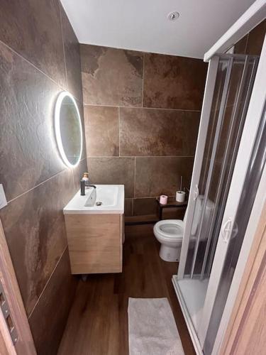 a bathroom with a sink and a toilet at Beau studio tout équipé in Nancy