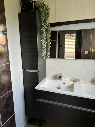 une salle de bain avec un lavabo et un miroir dans l'établissement Villa au pieds du vercors, à Saint-Sauveur