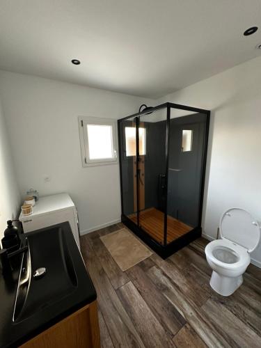 a bathroom with a shower with a toilet and a sink at La Perle in Mers-les-Bains