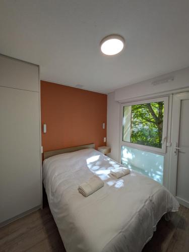 Studio rez de chaussée avec terrasse centre thermal et touristique - Casa Amnéville