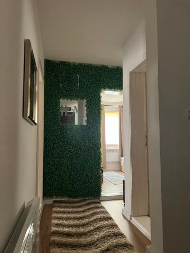 a living room with a green wall with a rug at Vikendica u srcu Bjelasnice in Trnovo