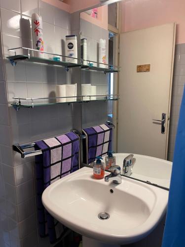 une salle de bain avec un lavabo et un miroir dans l'établissement Studio meublé bon emplacement, à Chamonix-Mont-Blanc