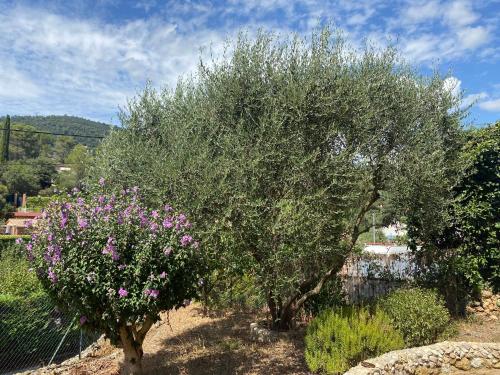 Φυσικό τοπίο κοντά σε αυτό το διαμέρισμα