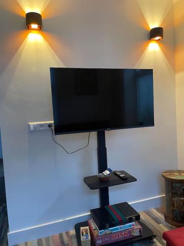 a flat screen tv hanging on a wall with two lights at Wijk aan Zee de Wilde Roos in Wijk aan Zee