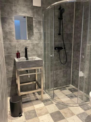 a bathroom with a shower and a sink at Wijk aan Zee de Wilde Roos in Wijk aan Zee