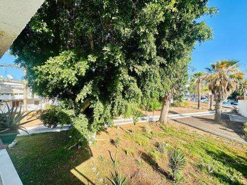 Ein Garten an der Unterkunft Apartamento Eureka Costa Del Silencio