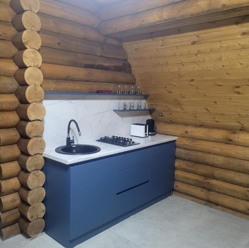 a kitchen with a counter with a sink and wooden walls at Panorama Paradise in Zemo Khodasheni