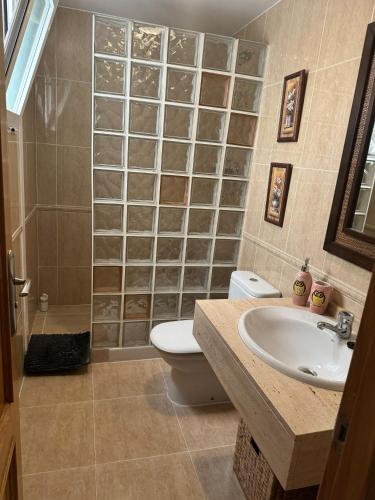 a bathroom with a sink and a toilet and a shower at Casa Emma in Burriana