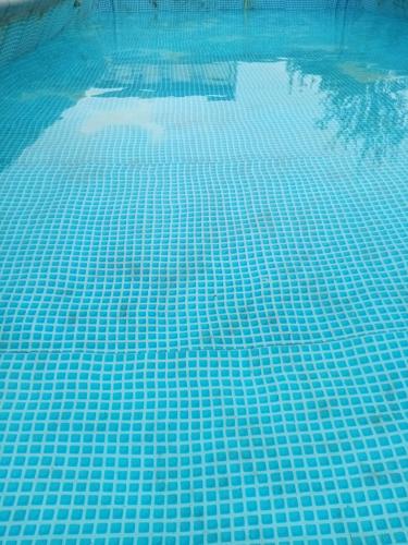 - une piscine avec du carrelage bleu sur l'eau dans l'établissement le logis gourmand à payroux chambres à 59 euros chacune avec piscine 10x5 et pdj compris fermé sur ce site merci de me contacter directement pour réservation au 06 87 cinquante huit quatre vingt quinze zéro un, à Payroux