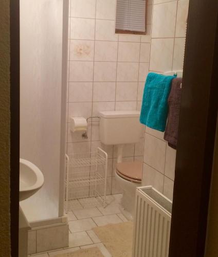a bathroom with a toilet and a blue towel at Haus AlpenHahn in Wenns