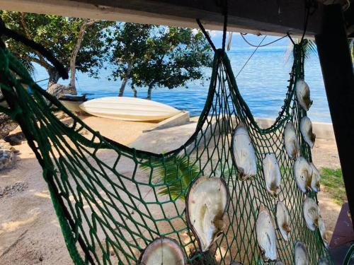 a hammock with a view of the water and a boat at Chez Ptit frere in Moorea
