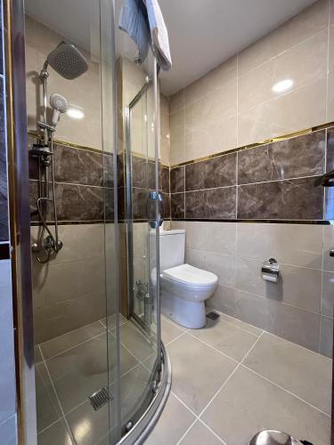 a bathroom with a toilet and a shower at La Vien Hotel Old City in Istanbul