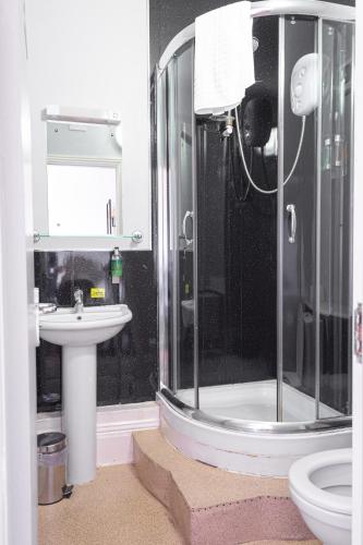 a bathroom with a shower and a sink and a toilet at Fox Inn in Guisborough