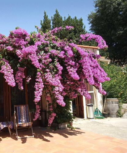 Chambre dans mas Centre-ville