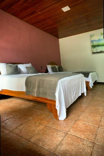 a bedroom with two beds in a room at Poshtel Arenal in Fortuna