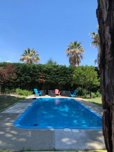 une piscine bleue avec des palmiers en arrière-plan dans l'établissement VILLA CATALANE, à Villemolaque