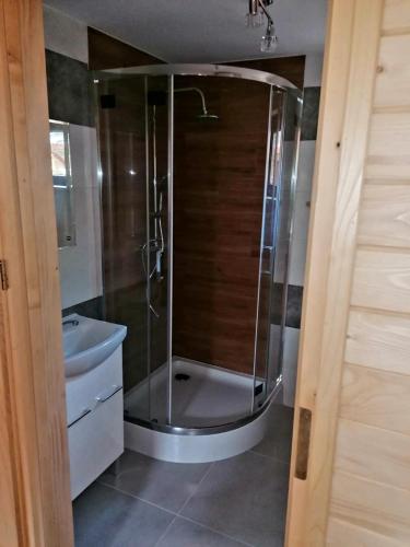 a shower with a glass door in a bathroom at Domek Leon in Okuninka