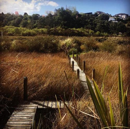 un camino de madera a través de un campo de hierba alta en Uniqueness, en Tauranga