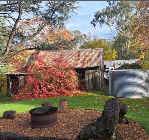 an old house with a rusty roof in a yard at Ellerslie Cottage in Metcalfe