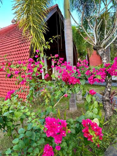 a garden with pink flowers in front of a house at Jungle Paradise in Nusa Penida