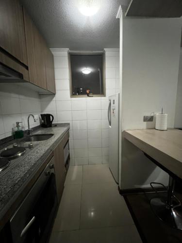 a small kitchen with a sink and a refrigerator at Pauwla in Santiago