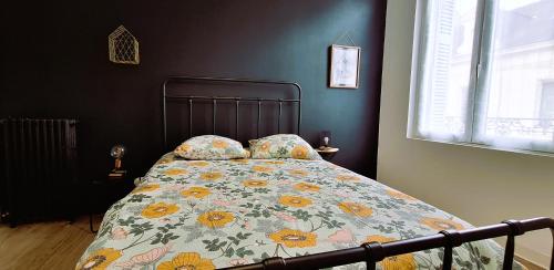 Histoire de Loire - BALZAC