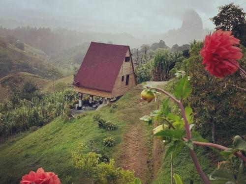 a house on the side of a hill with a red flower at Chalet de Liz - Guatapé in Guatapé