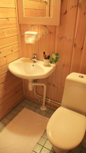 a bathroom with a sink and a toilet at Loft at Ruutin Kartano in Laihia