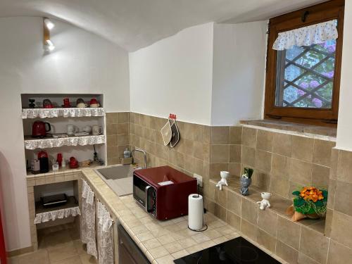 a kitchen with a microwave on a counter at La Chicca di Sofy in Orvieto